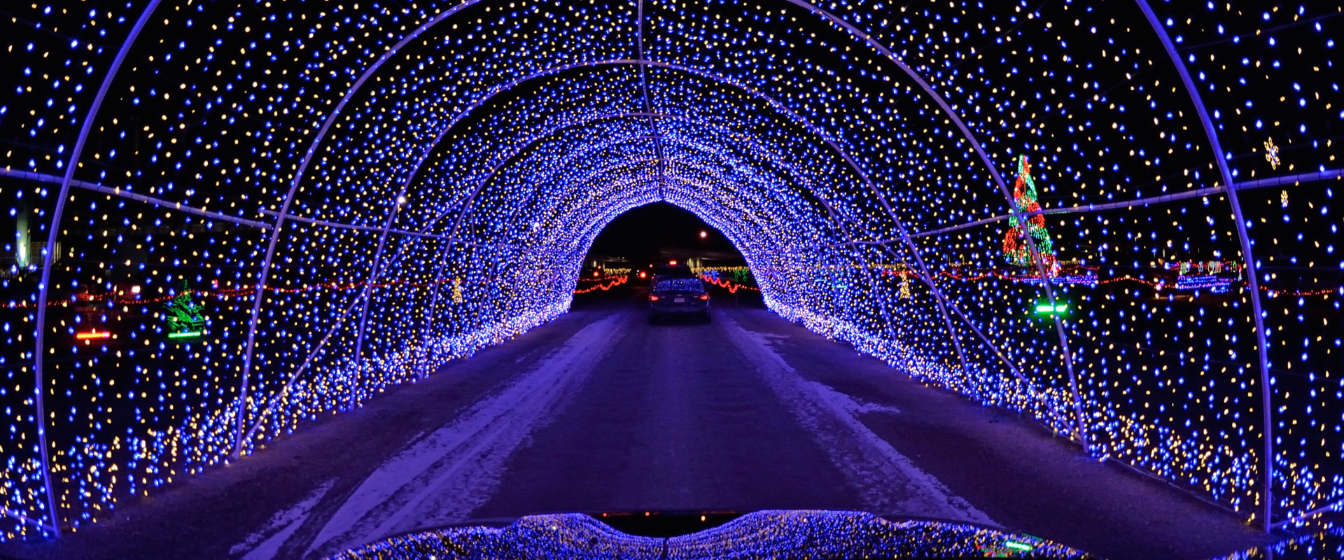 Experience the Best Winter Events in Southern California: An Expert's Perspective