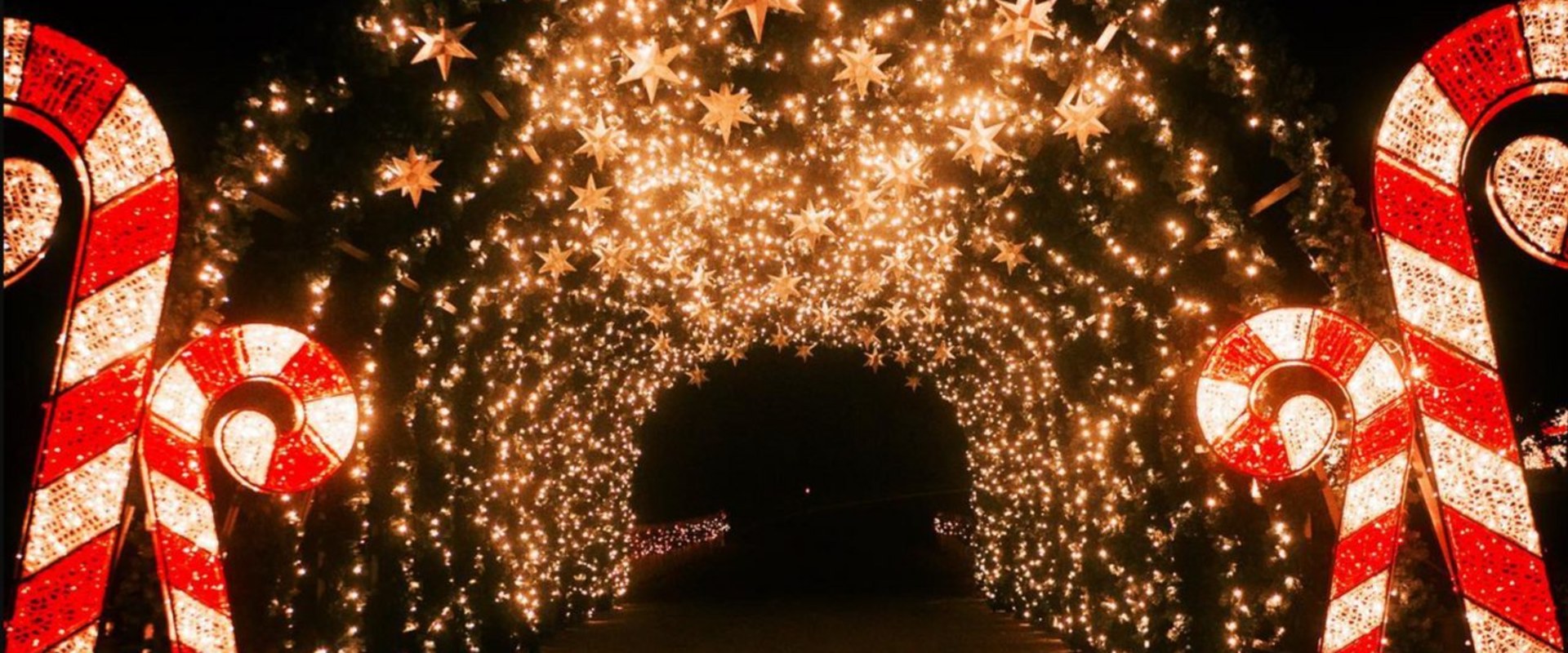 Experience the Magic of Southern California: The Most Anticipated Holiday Parades and Celebrations