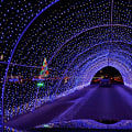 Experience the Best Winter Events in Southern California: An Expert's Perspective